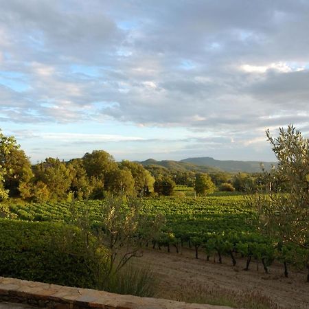 Maison Bijoux-De-Provence "Lavande" Puyméras المظهر الخارجي الصورة